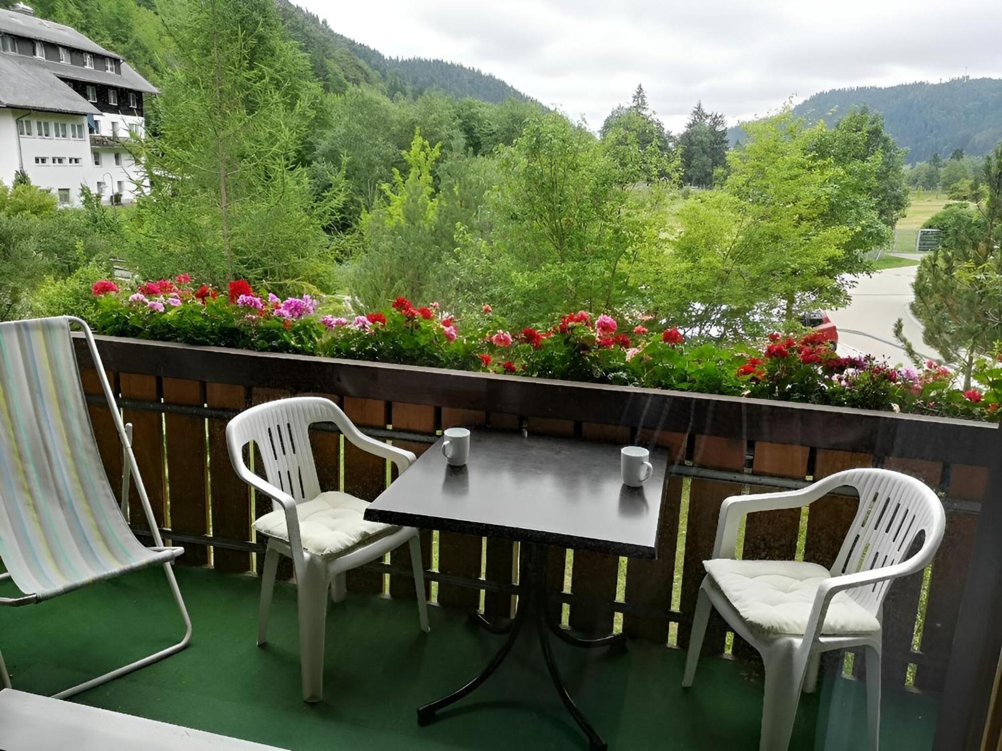 Naturidyll Am Fluss - Ferienhaus Albmatte - Grosser Garten Zum Grillen Und Entspannen-Direkt Neben Dem Radon Revitalbad Mit Sauna Und Thermalbecken St. Blasien Bagian luar foto