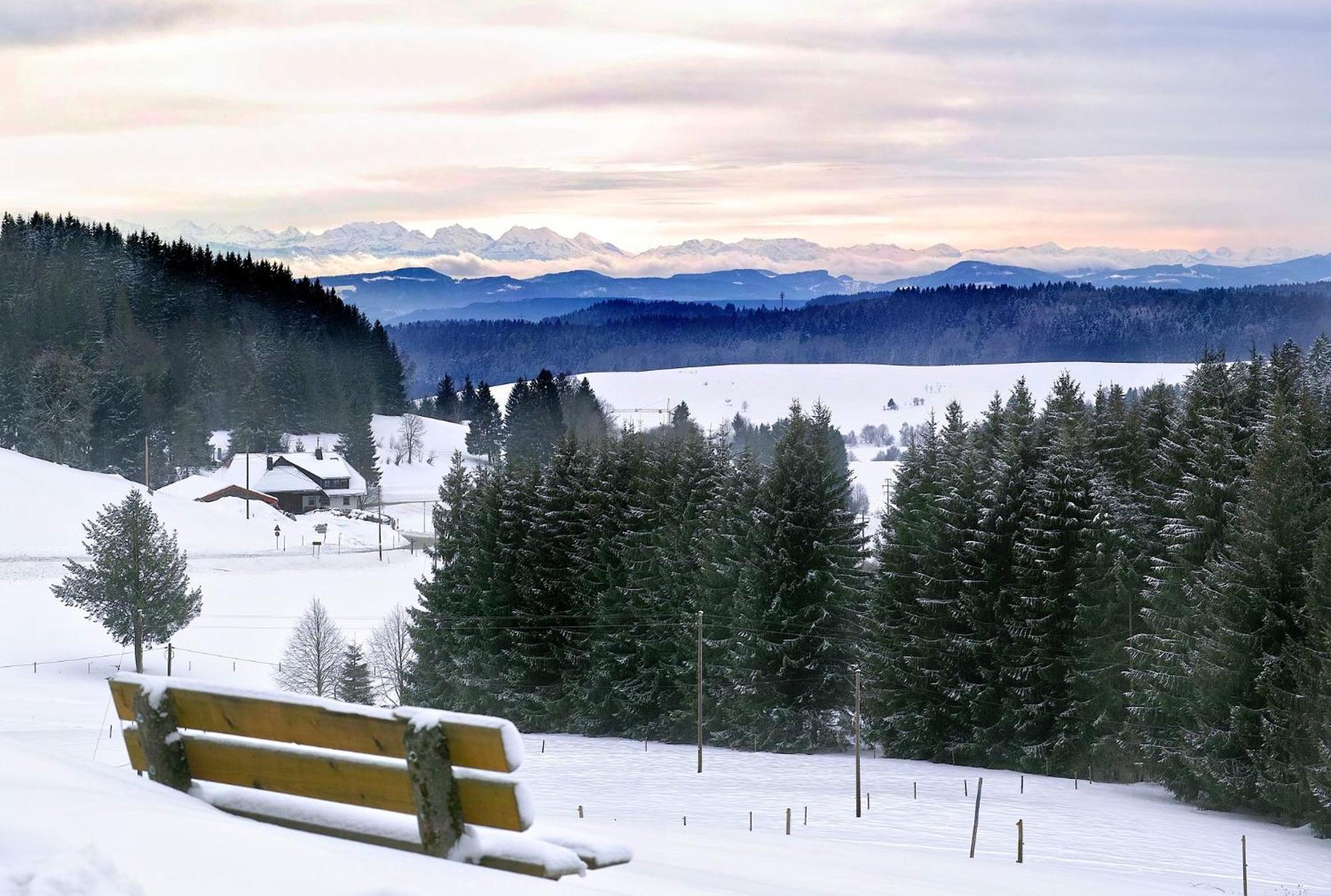 Naturidyll Am Fluss - Ferienhaus Albmatte - Grosser Garten Zum Grillen Und Entspannen-Direkt Neben Dem Radon Revitalbad Mit Sauna Und Thermalbecken St. Blasien Bagian luar foto