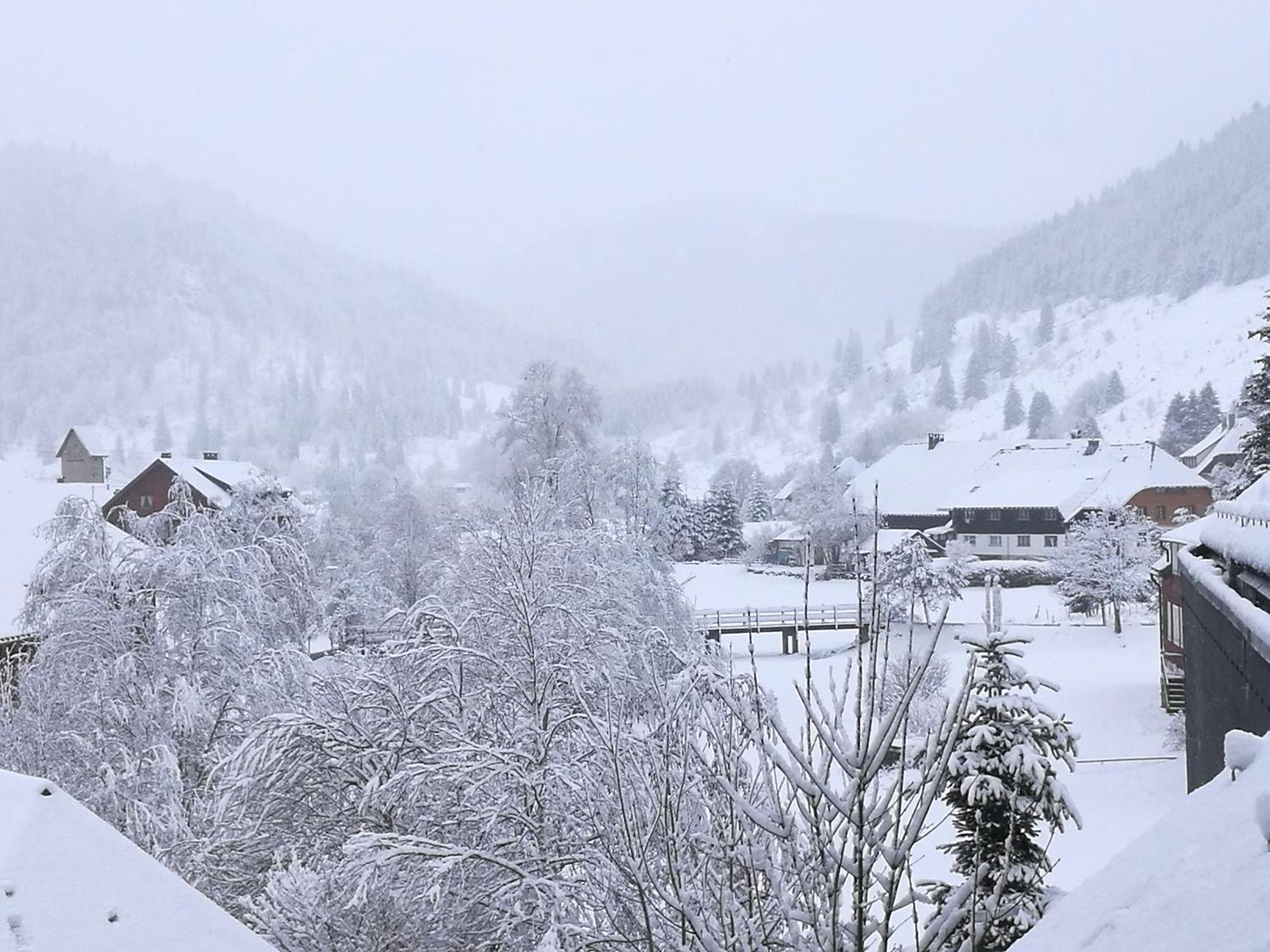 Naturidyll Am Fluss - Ferienhaus Albmatte - Grosser Garten Zum Grillen Und Entspannen-Direkt Neben Dem Radon Revitalbad Mit Sauna Und Thermalbecken St. Blasien Bagian luar foto