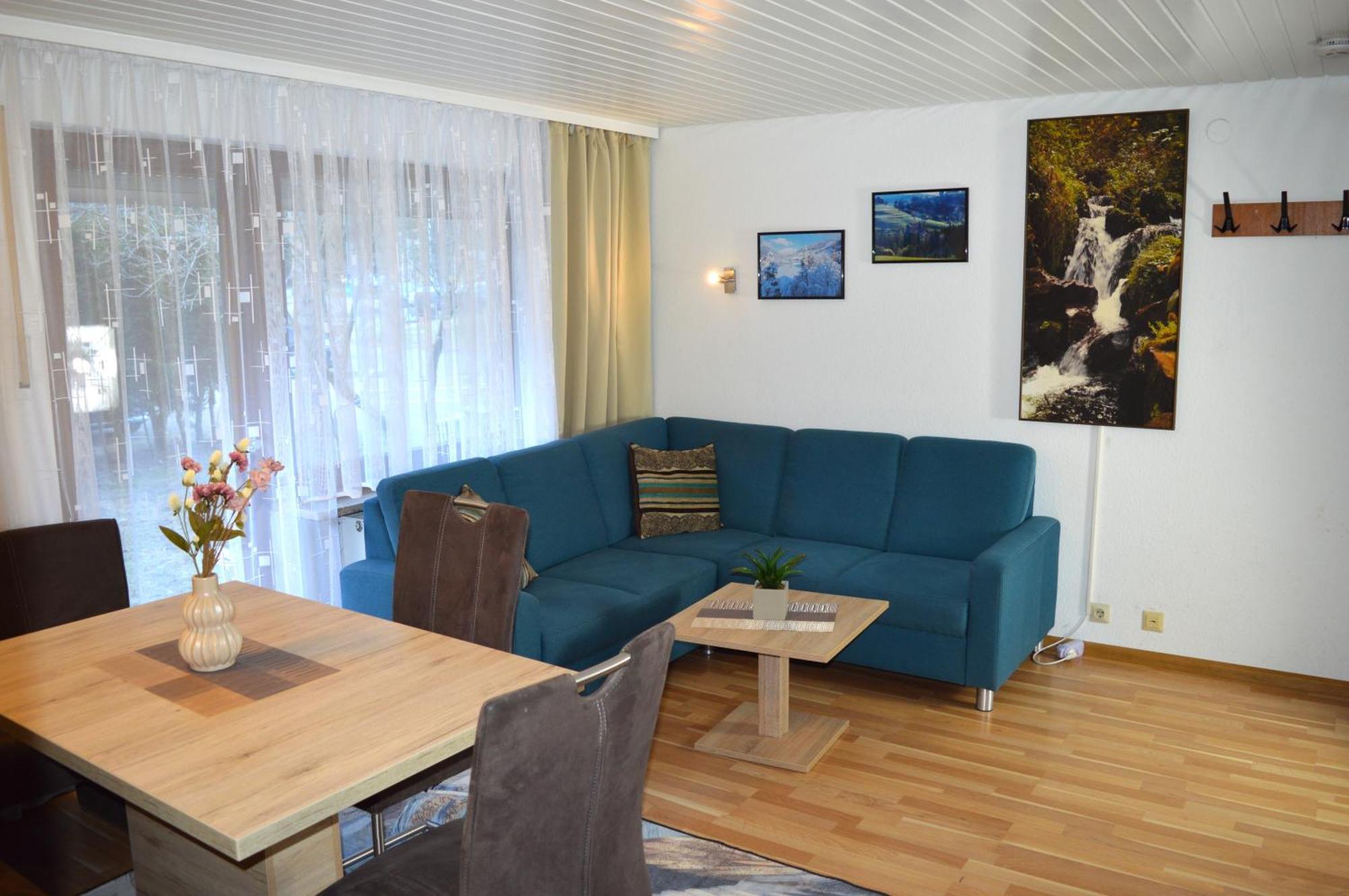 Naturidyll Am Fluss - Ferienhaus Albmatte - Grosser Garten Zum Grillen Und Entspannen-Direkt Neben Dem Radon Revitalbad Mit Sauna Und Thermalbecken St. Blasien Bagian luar foto